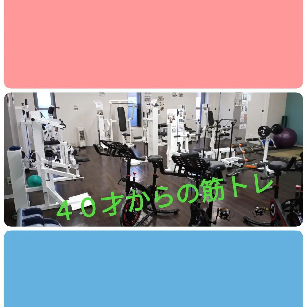 ブログ画像
