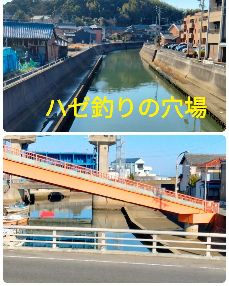 ブログ画像