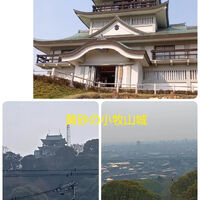 ブログ画像