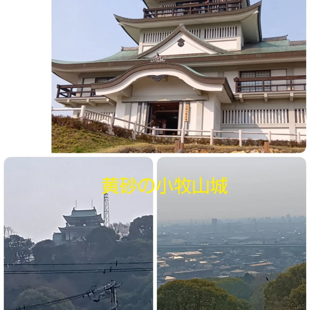 ブログ画像