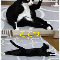 ブログ画像